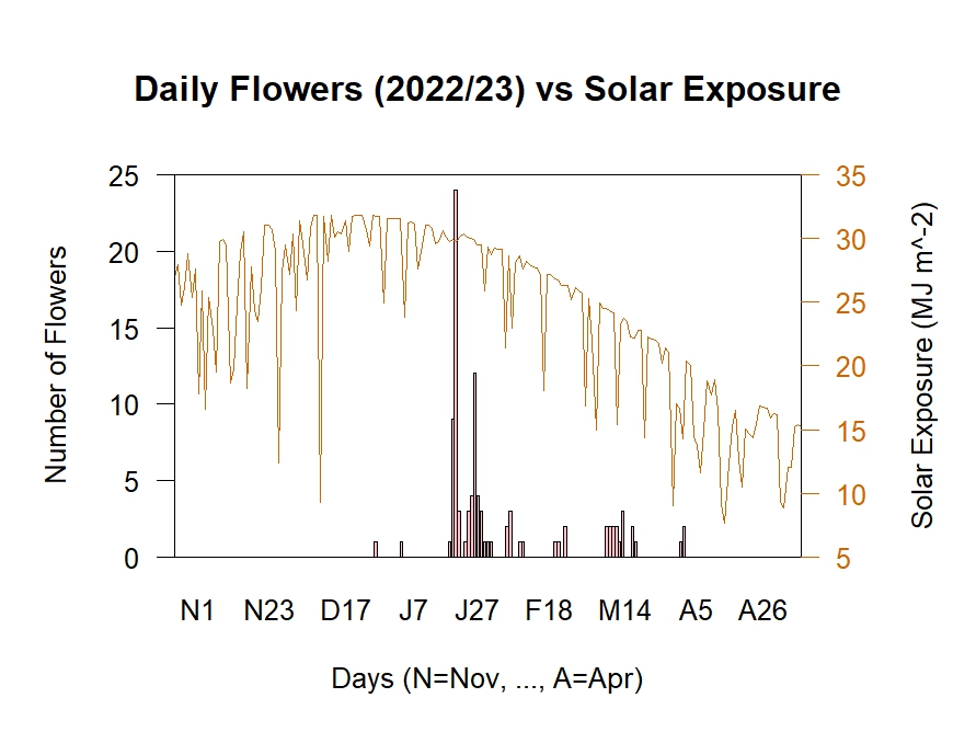 Flowers vs Solar Exposure 2022/23